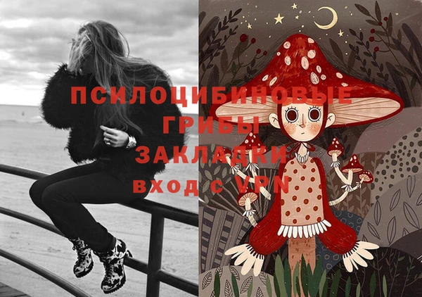 хмурый Волосово