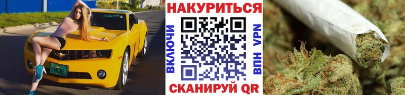 МАРИХУАНА семена Западная Двина