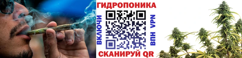 Бошки марихуана Bruce Banner  Западная Двина 